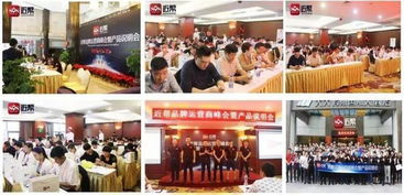 2019年網站建設 低門檻高回報的創富機遇