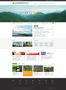 奧遠(yuǎn)科技 云南昆明網(wǎng)站建設(shè)與網(wǎng)絡(luò)服務(wù)專家